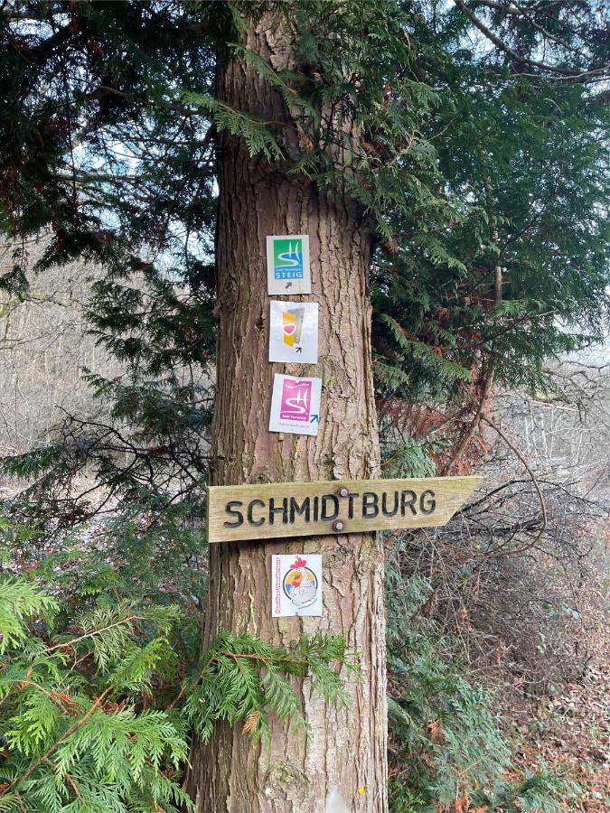 Am Apfelbaum, Ein Ferienhaus Zwischen Rhein Und Mosel Kastellaun Bagian luar foto