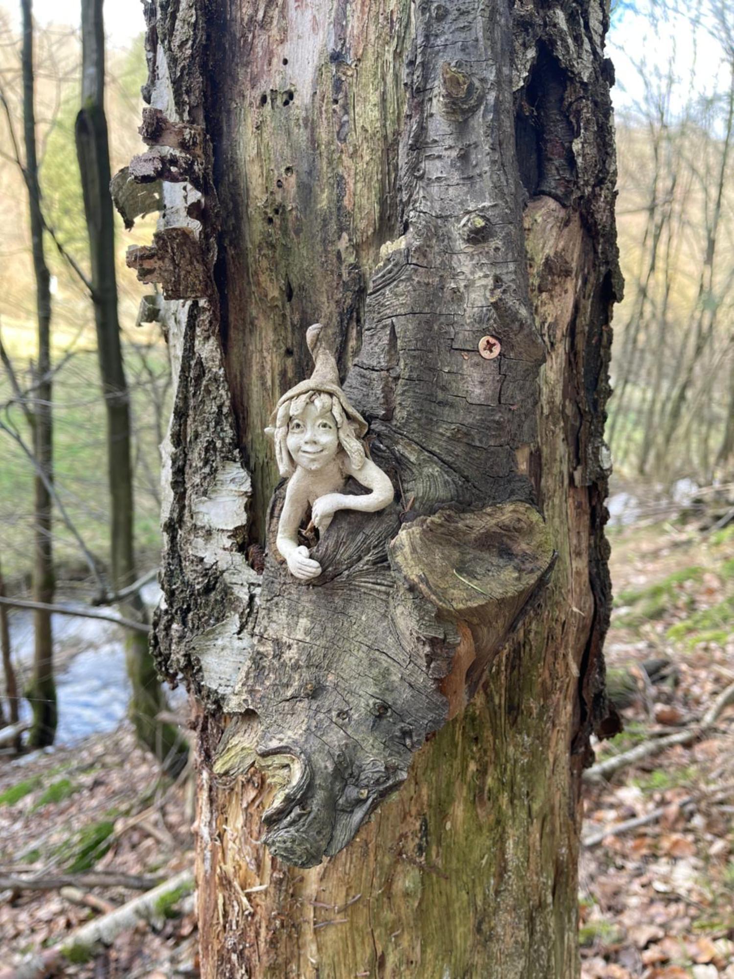 Am Apfelbaum, Ein Ferienhaus Zwischen Rhein Und Mosel Kastellaun Bagian luar foto