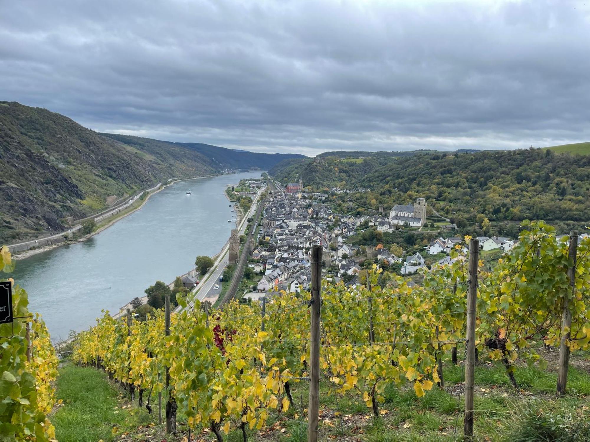 Am Apfelbaum, Ein Ferienhaus Zwischen Rhein Und Mosel Kastellaun Bagian luar foto